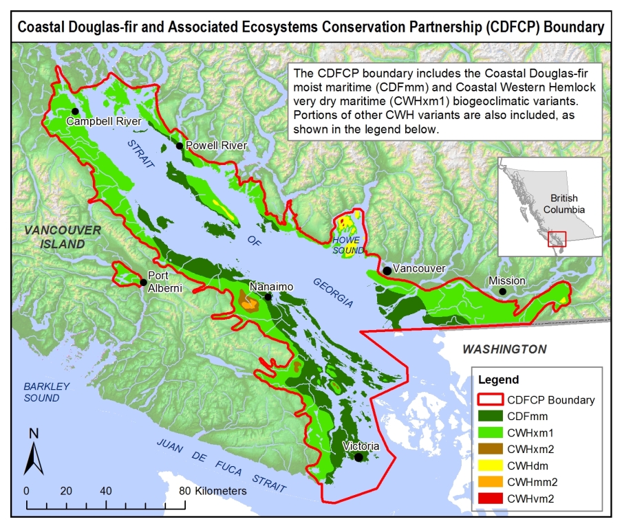 About the CDFCP - Coastal Douglas-fir Conservation Partnership