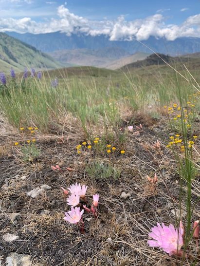 Photo: Carrina Maslovat