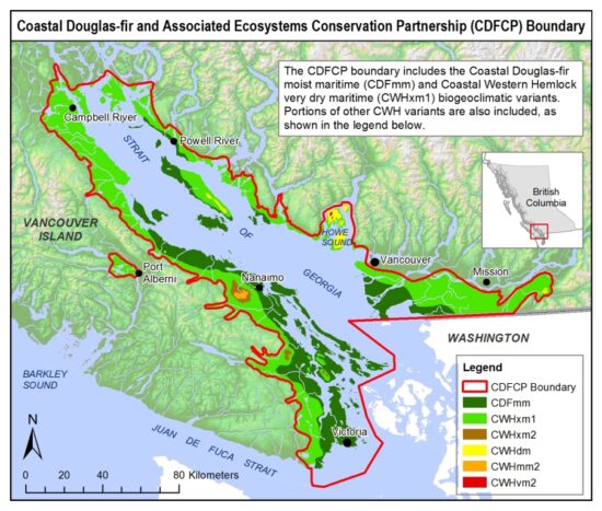 CDFCP_Map_FINAL_for_docs